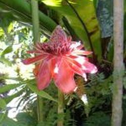 Аватар пользователя lusi