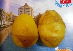 Рецепт: "Белек - 2010"