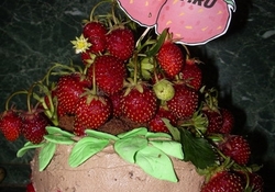 Рецепт: Торт "Клубничные страсти"