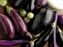 Поговорим о баклажанах