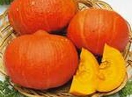 Целебные свойства и польза тыквы