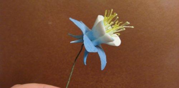 Шаг №29 МК Аквилегия от Учредительница