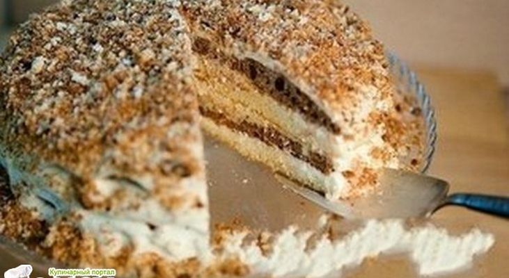 Сметанник классический 