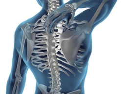 Статья: Рациональное питание для суставов и позвоночника