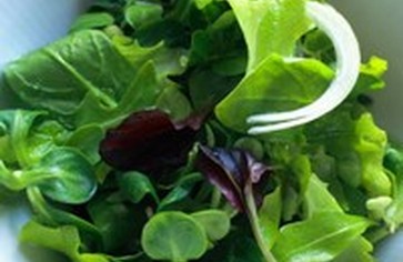 Кулинарные особенности зеленых салатов