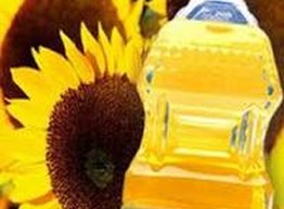 Подсолнечное масло: как сделать правильный выбор