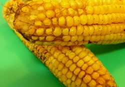 Рецепт: Кукуруза, запеченная в духовке