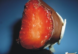 Рецепт: Фруктовые шашлычки в шоколаде