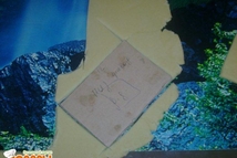 Шаг 13: Затем раскатать толщиной 0,5см, вырезать …