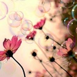 Аватар пользователя ~PurpleRain~