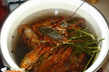 Шаг 4: В кипящую воду бросаем раков …