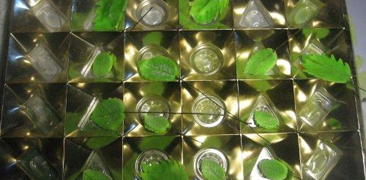 Шаг №23 МК Букетик от ивановна