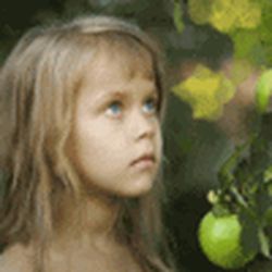 Аватар пользователя erarthewon