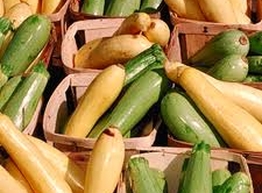 Статья: Кабачок. Готовим вкусно!