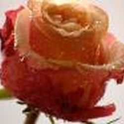 Аватар пользователя Marichka31