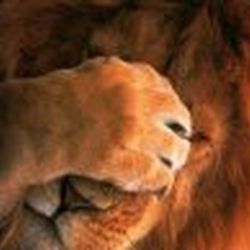 Аватар пользователя kitten84