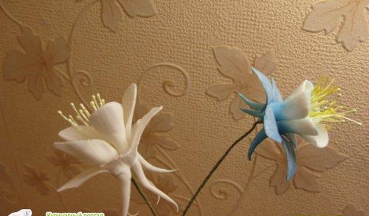 МК Аквилегия от Учредительница