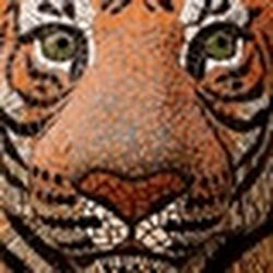 Аватар пользователя hisupbangnet