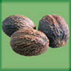 Аватар пользователя muskatya