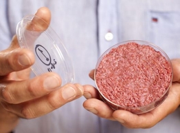 Статья: Гамбургер из искусственной говядины