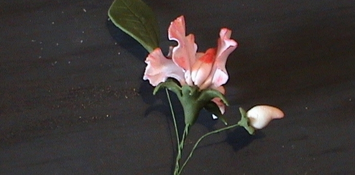 Шаг №13 МК Горошек от Sladost