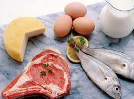 Белковая диета: её особенности и примерный рацион