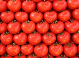 10 интересных фактов о томате