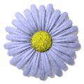 romaska
