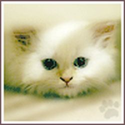 Аватар пользователя alesja