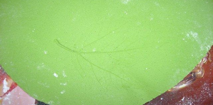 Шаг №3 МК Листочки от Annula