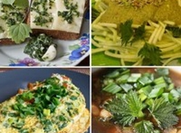Статья: Готовим вкуснятину из.. крапивы!