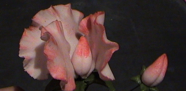 Шаг №8 МК Горошек от Sladost