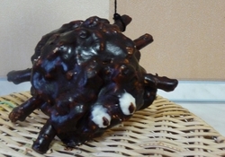 Рецепт: Печенье "Пауки"