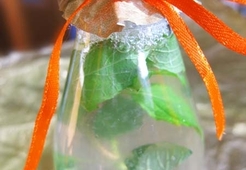 Основа для лимонада